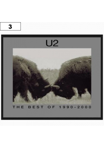 Naszywka U2 1990-2000 (03)