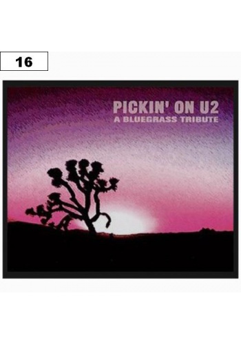 Naszywka U2 Pickin on (16)