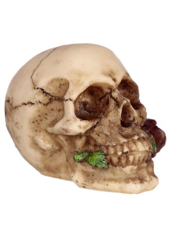 Czaszka z czerwoną różą