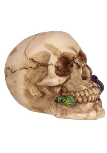 Czaszka z fioletową różą