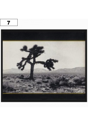 Naszywka U2 Joshua Tree (07)